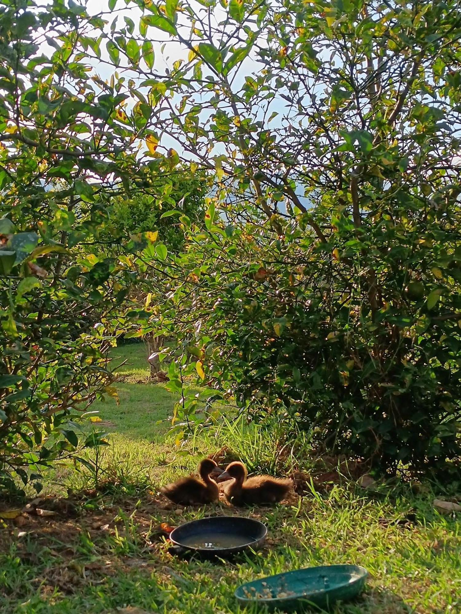 Cabana Escondite Sabana Ξενοδοχείο Villa de Leyva Εξωτερικό φωτογραφία